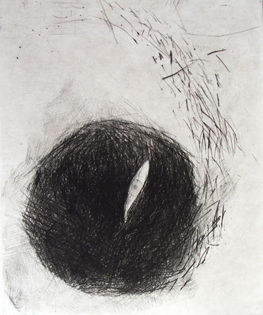 une pensée pour Odilon Redon