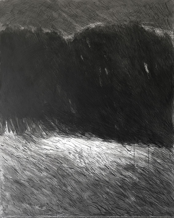 lumiere davant les arbres noirs