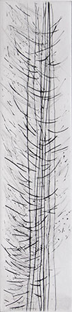 bois II