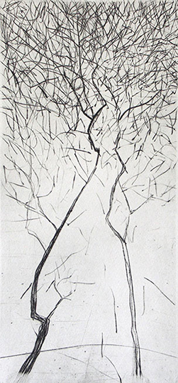 deux arbres