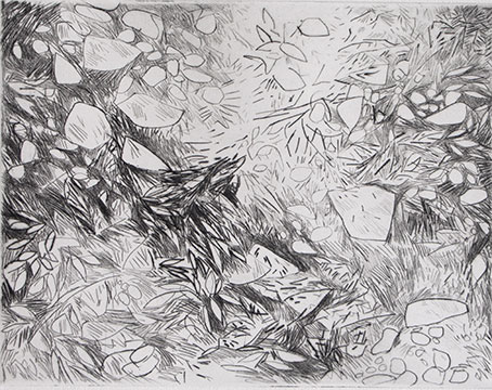 sol III