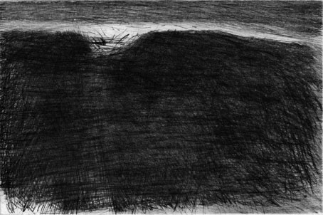 paysage