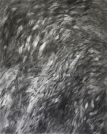 feuillage 1