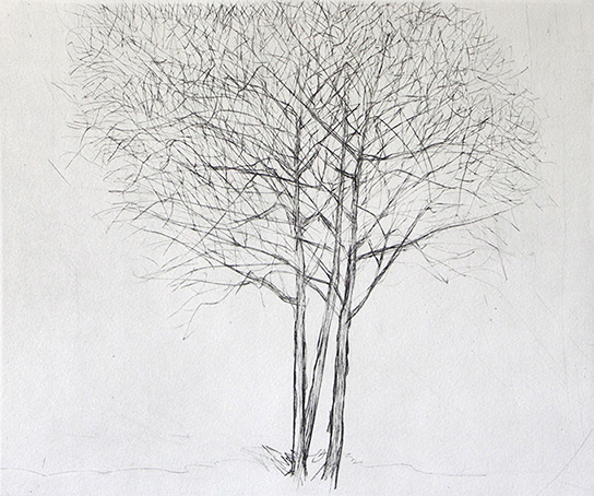 trois arbres