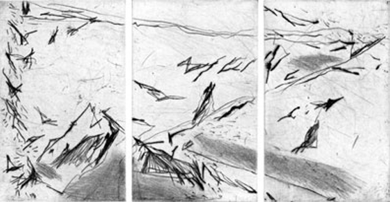 triptyque oiseaux