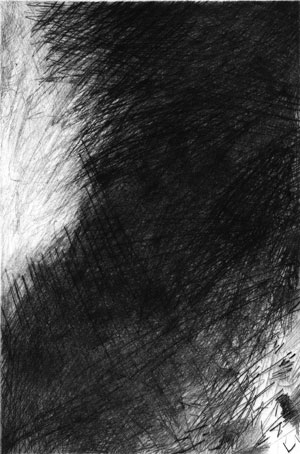 bois noir